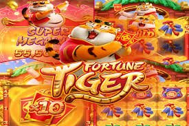 cnc bet win